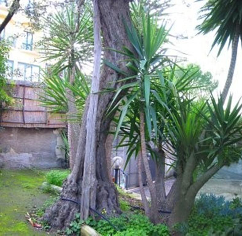 Villa Orchidea Sorrento Phòng bức ảnh